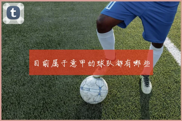 目前属于意甲的球队都有哪些