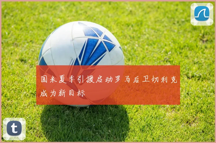 国米夏季引援启动罗马后卫切利克成为新目标