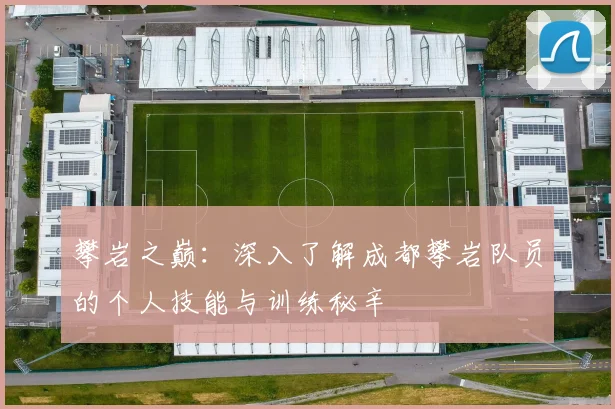 攀岩之巅:深入了解成都攀岩队员的个人技能与训练秘辛