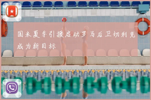 国米夏季引援启动罗马后卫切利克成为新目标