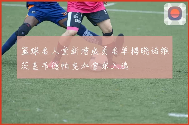 篮球名人堂新增成员名单揭晓诺维茨基韦德帕克加索尔入选