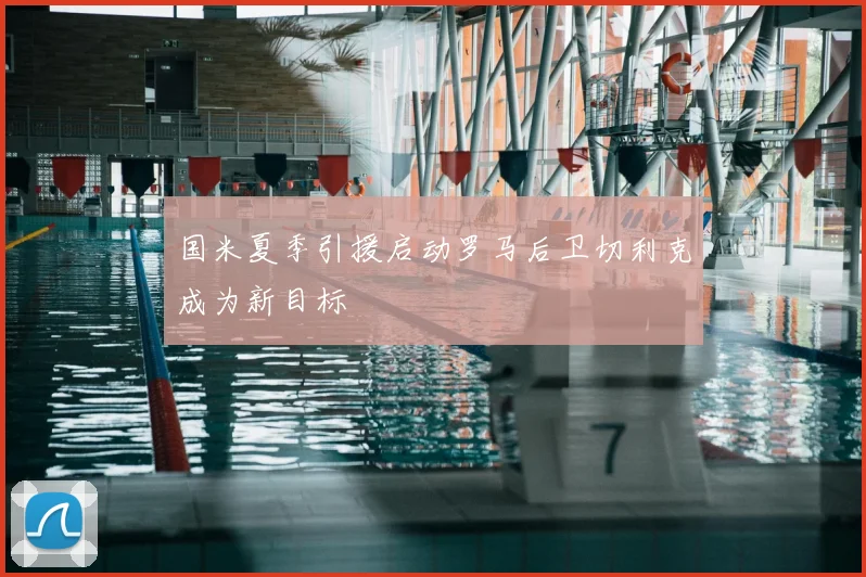 国米夏季引援启动罗马后卫切利克成为新目标