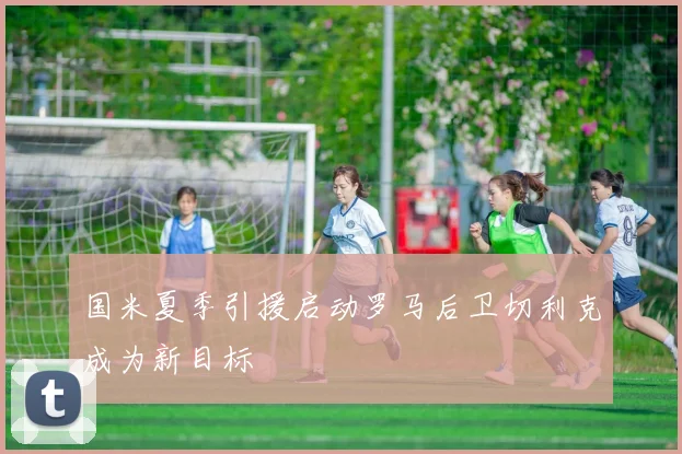 国米夏季引援启动罗马后卫切利克成为新目标