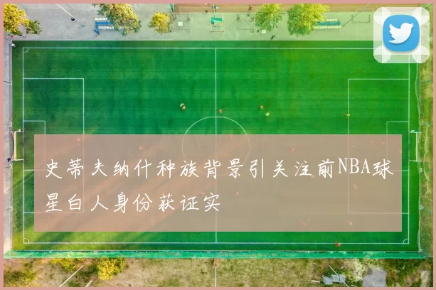 史蒂夫纳什种族背景引关注前NBA球星白人身份获证实