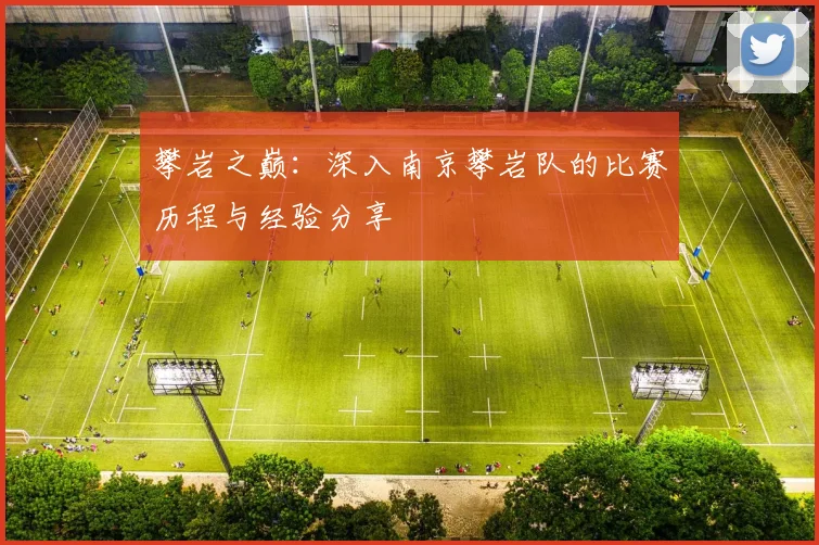 攀岩之巅:深入南京攀岩队的比赛历程与经验分享