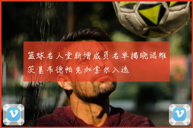 篮球名人堂新增成员名单揭晓诺维茨基韦德帕克加索尔入选