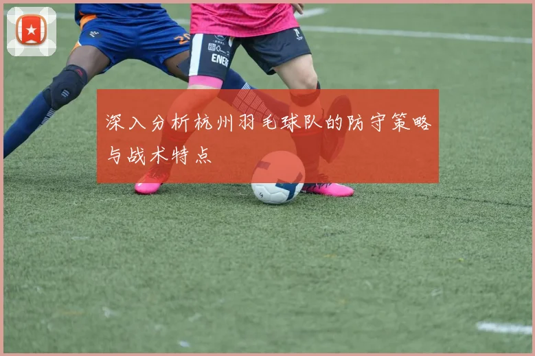 深入分析杭州羽毛球队的防守策略与战术特点