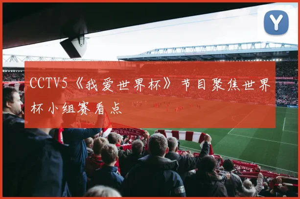 CCTV5《我爱世界杯》节目聚焦世界杯小组赛看点