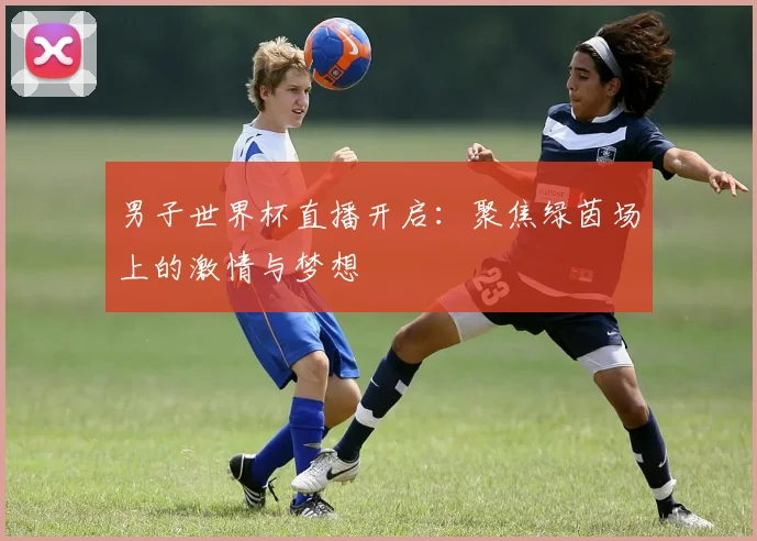 男子世界杯直播开启：聚焦绿茵场上的激情与梦想
