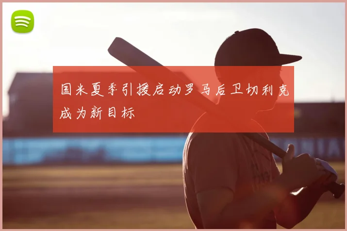 国米夏季引援启动罗马后卫切利克成为新目标