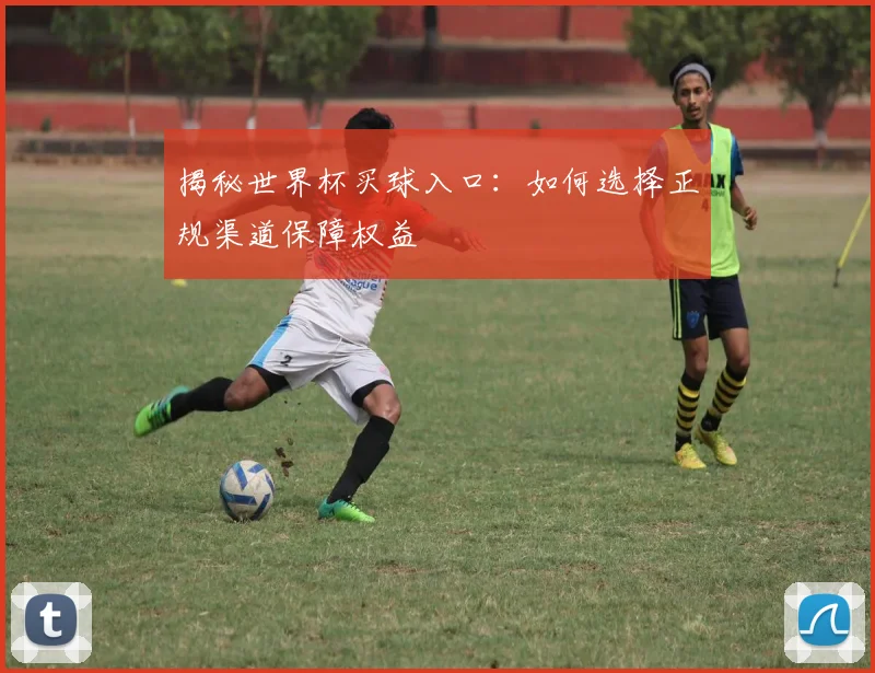 揭秘世界杯买球入口:如何选择正规渠道保障权益