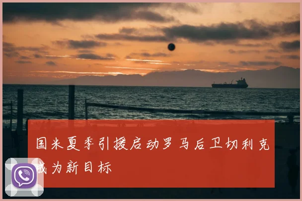 国米夏季引援启动罗马后卫切利克成为新目标