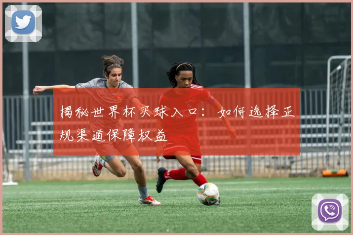 揭秘世界杯买球入口:如何选择正规渠道保障权益